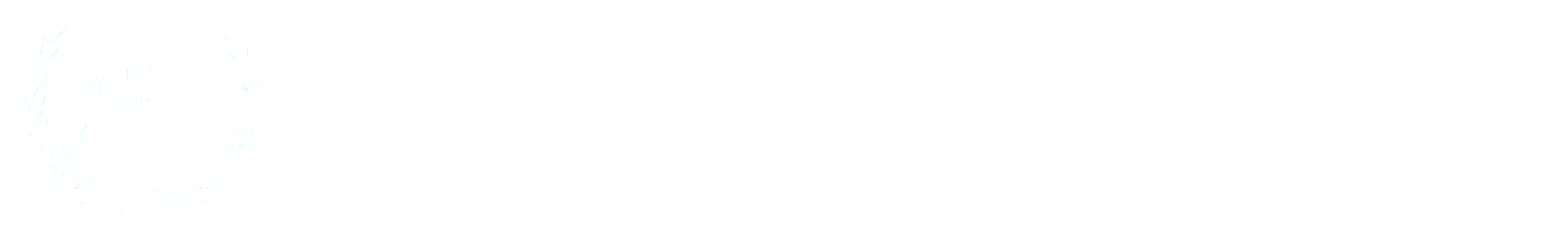 baitussalamlumin.com